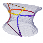 Tracking 2D surfel boundary from single surfel Cell of 3D Khalimsky Space