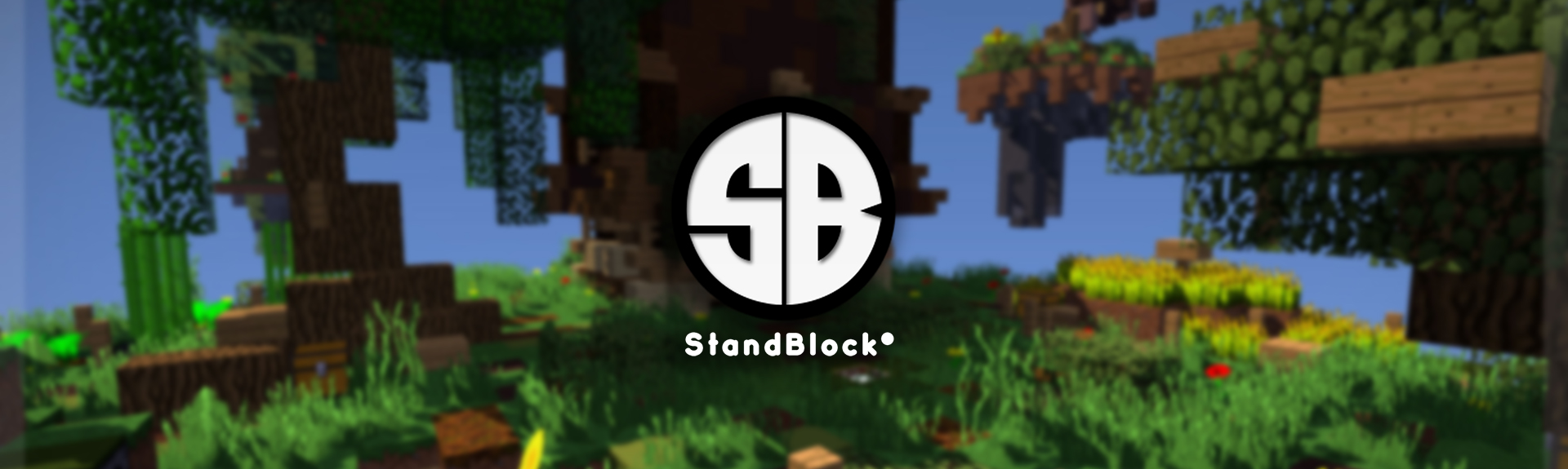 StandBlock Remake