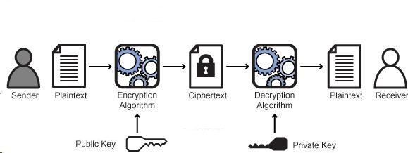 Visualization of RSA