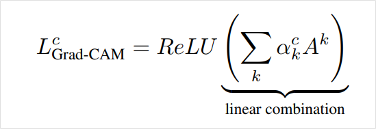 Grad-CAM 마지막 ReLU