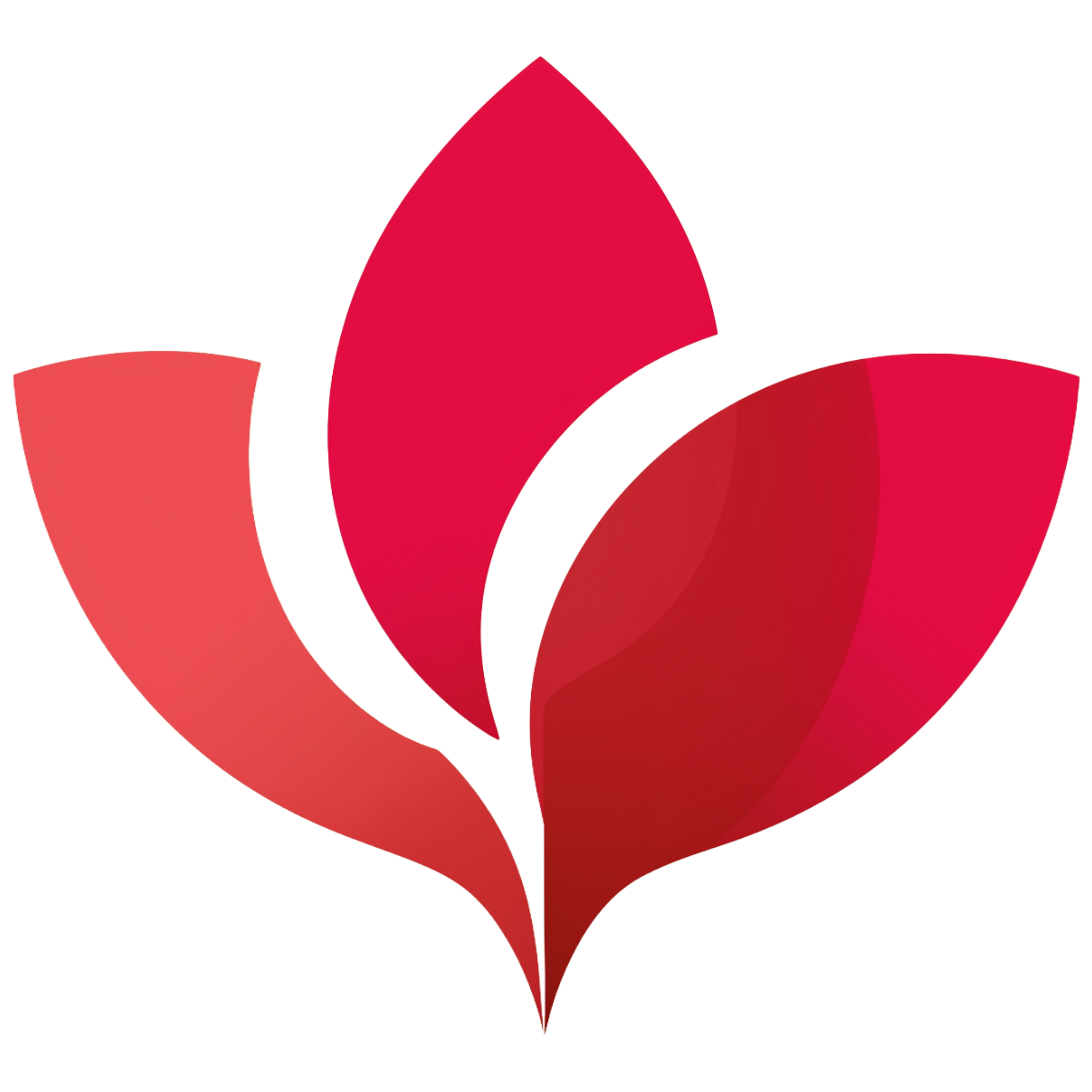 shiftbloom studio logo