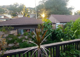 Shows an illustrated sun in light mode and a moon with stars in dark mode.