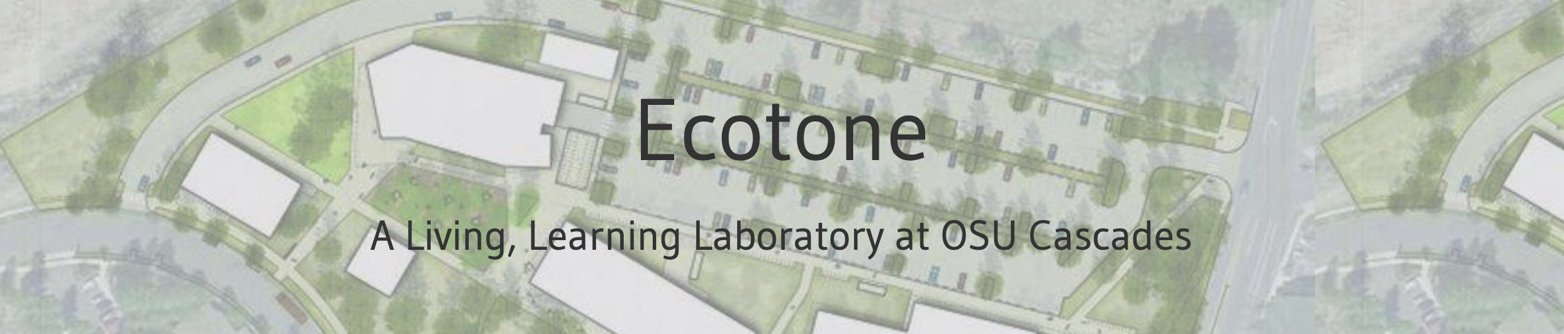 ecotone banner image