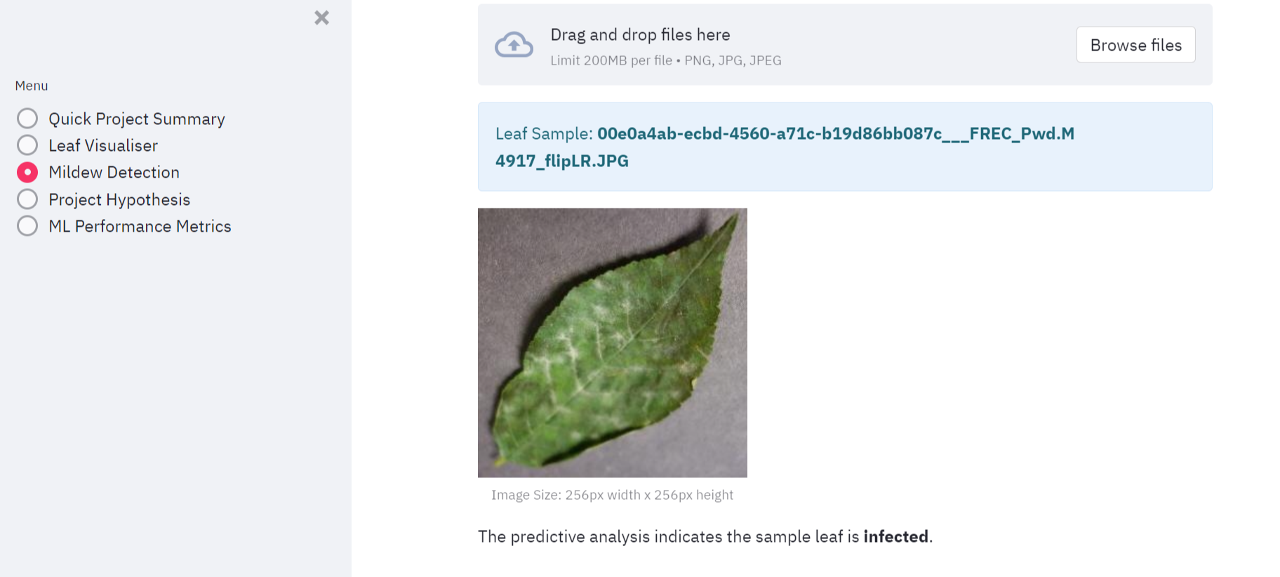 Leaf Mildew Detecotr