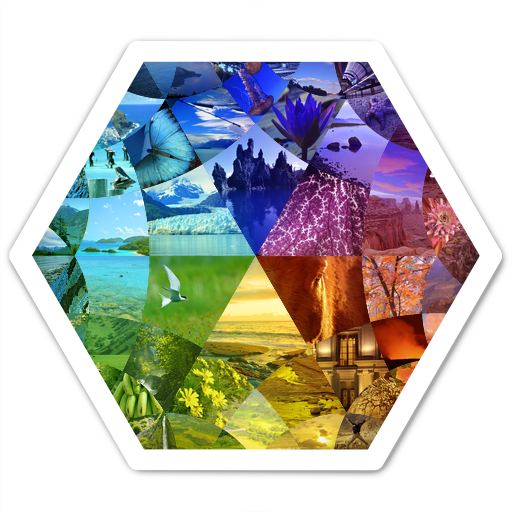 Colorful, hexagonal Nitpic icon