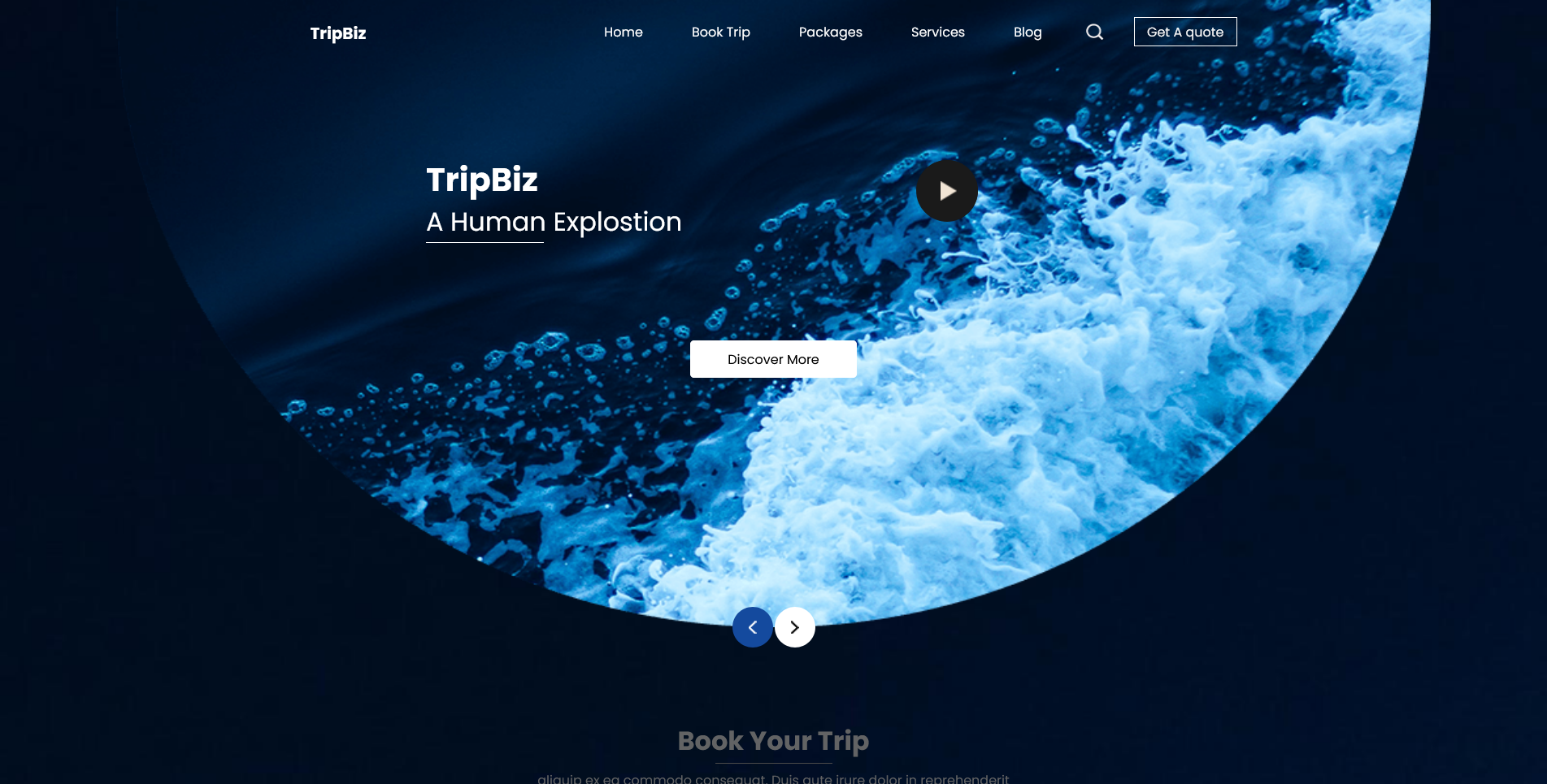 TripBiz
