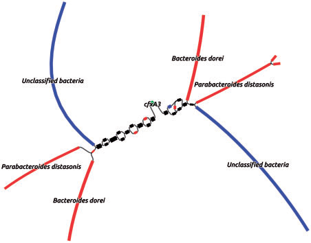 Multiple-metagenome environment