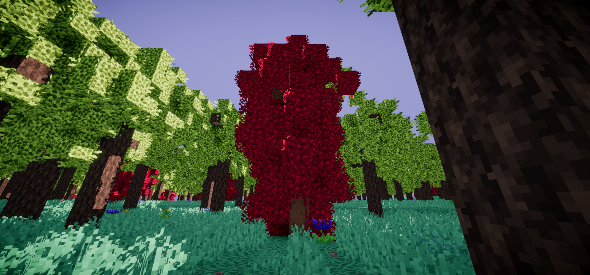 a crimson-red tree