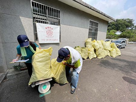 防除成果称重