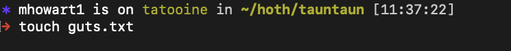 Screen Shot of running the command "touch guts.txt" inside the tauntaun directory