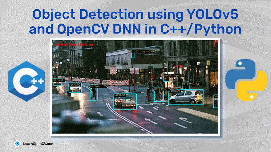 Introduction to YOLOv5 with OpenCV DNN