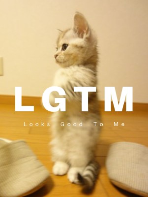 LGTM