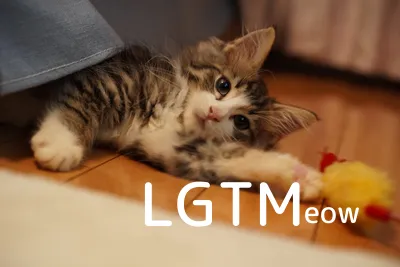 LGTMeow
