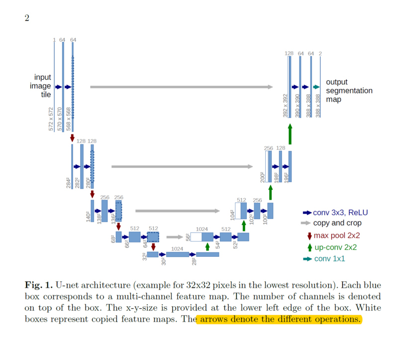 Network Architecture