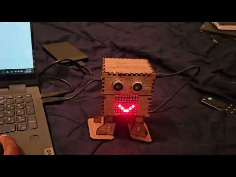 Project Demo Video