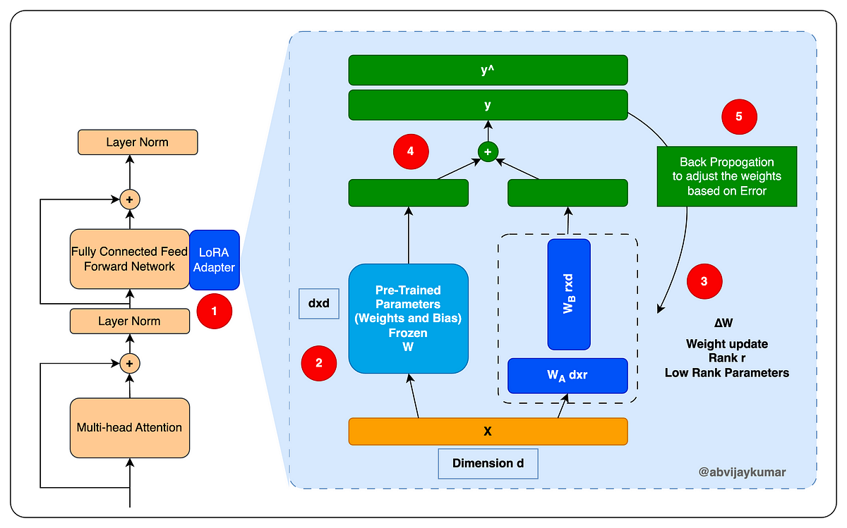 ORPO Diagram