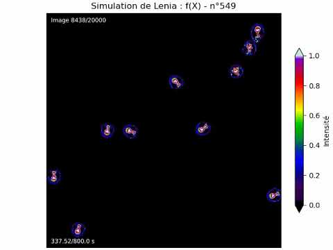 Vidéo exemple d'une simulation de Lenia
