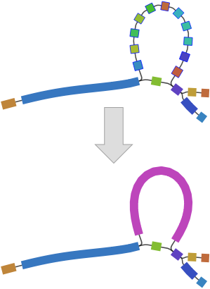 Merge selected nodes