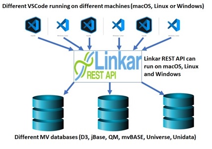 MV Basic Linkar architecture