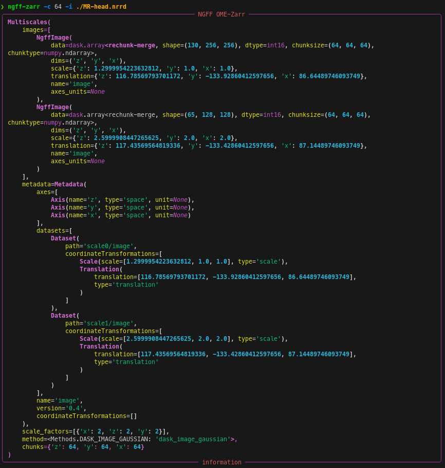 ngff-zarr output chunks