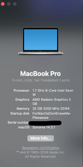 Screenshot of About This Mac