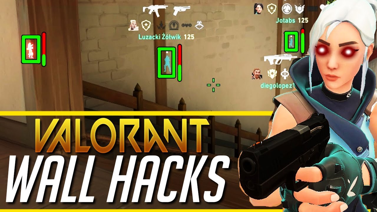 Valorant Hack Preview