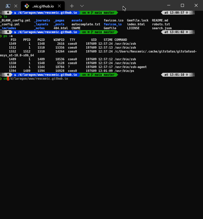 Zsh / Oh-my-zsh on Windows Git Bash · GitHub