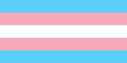 跨性别旗帜