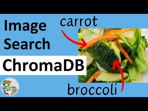 Getting Started with ChromaDB Multimodal