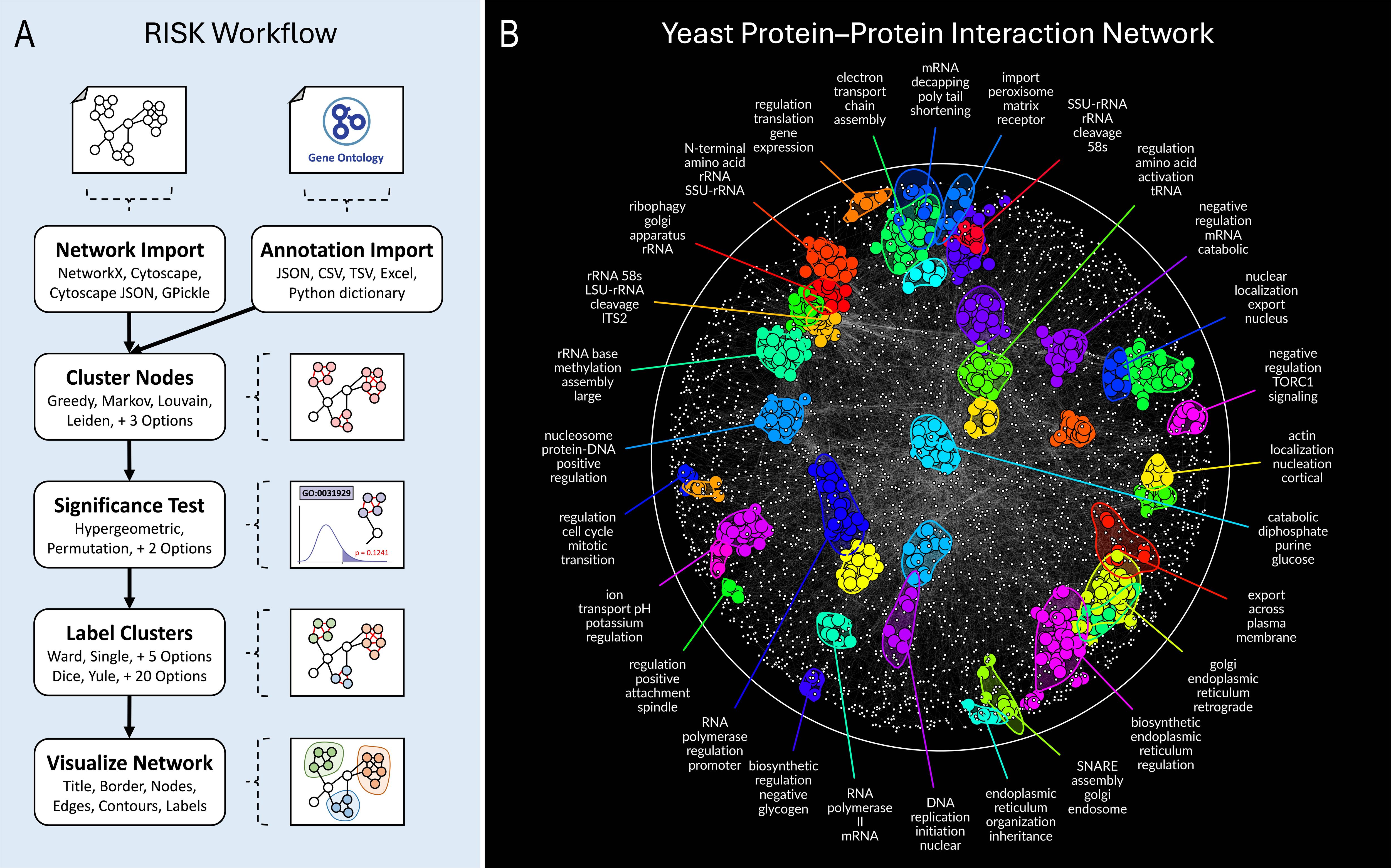 RISK analysis of the yeast PPI network