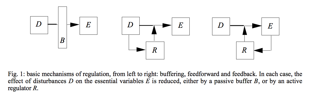 Basic mechanisms of regulation