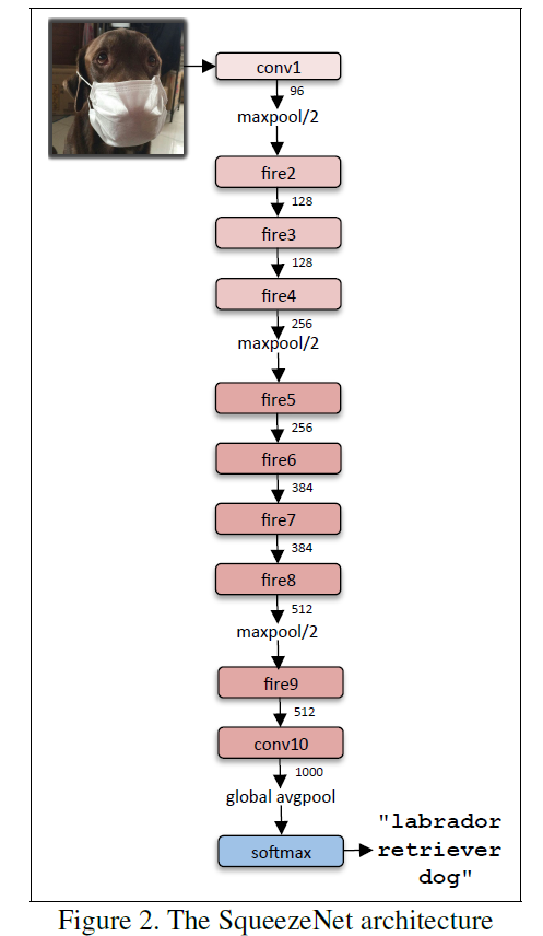 squeezenet网络结构