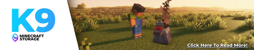 minecraft storage