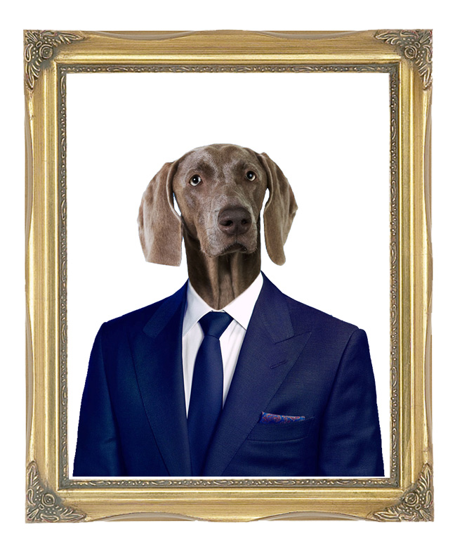 dog.ceo picture