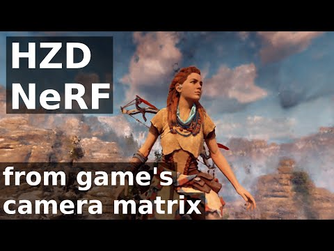 HZD NeRF