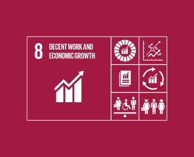 sdg8