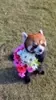 I Love You Flower GIF via giphy.com