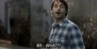 The Last Man On Earth What GIF by FOX TV via giphy.com