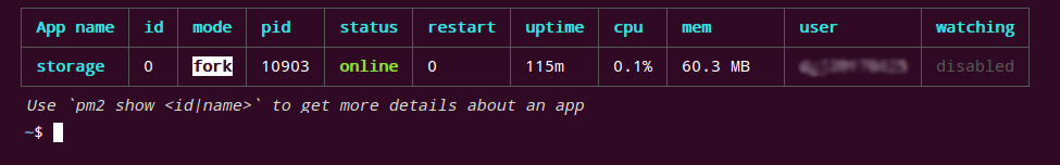 image: pm2 output