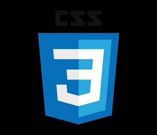 CSS logo