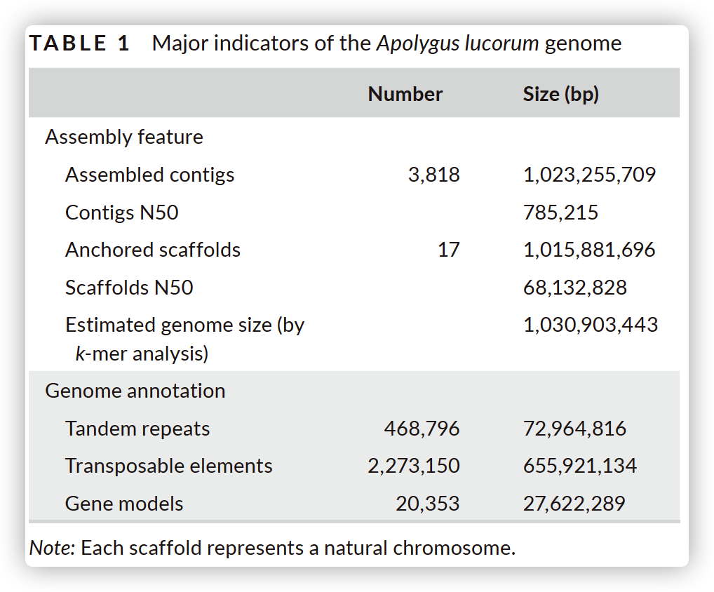 Major indicators of the Apolygus lucorum genome