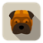 Dog 32