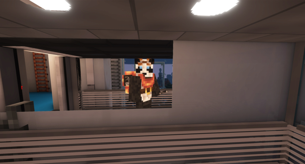 Screenshot of a player in a MTR elevator looking at its reflection in a Immersive Portal mirror