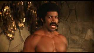 Why, Black Dynamite?  Why?