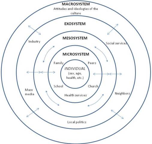 social ecological model