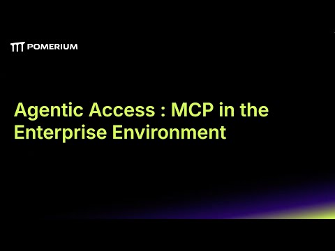 MCP in the Enterprise Environment