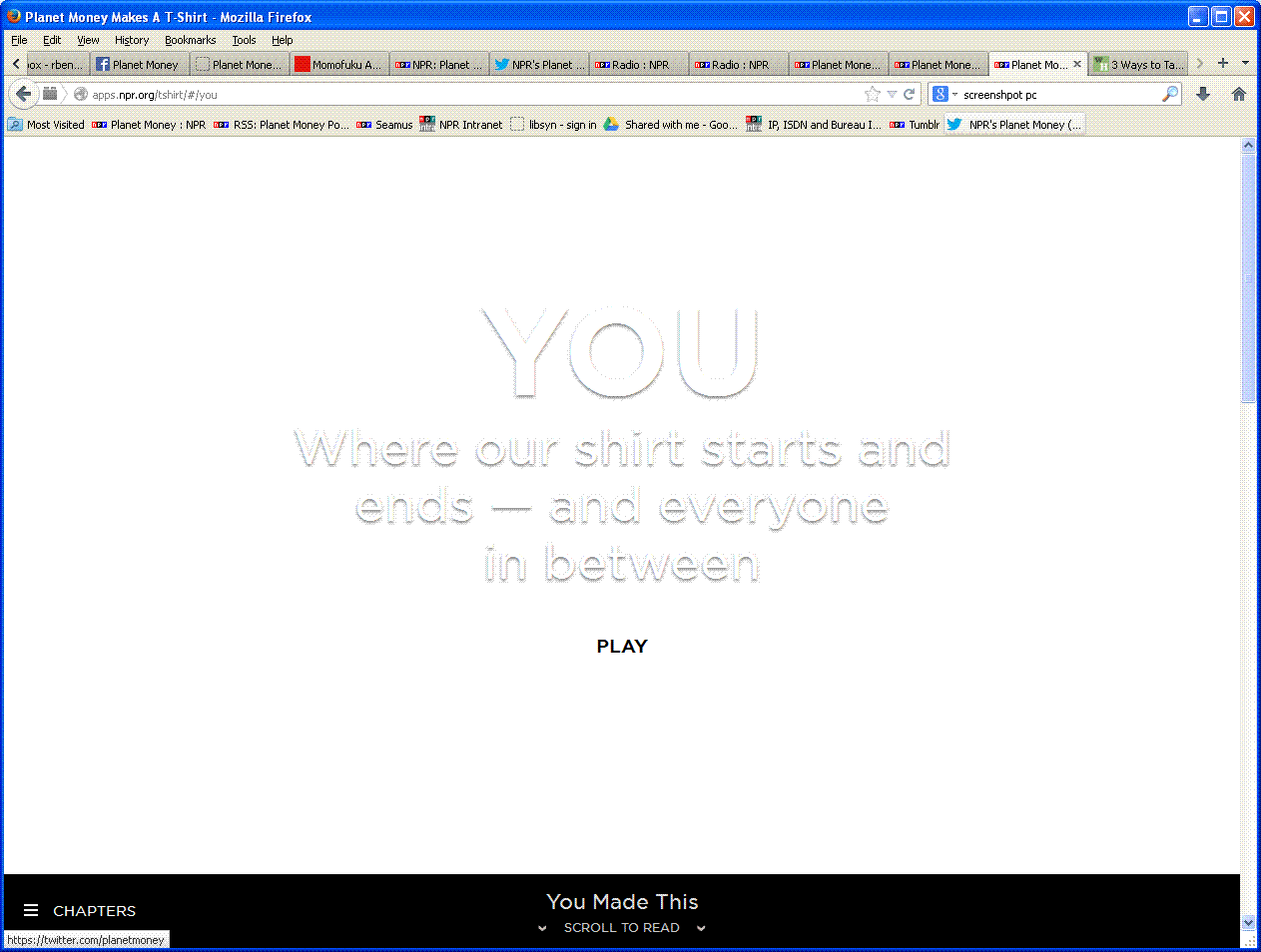 you page screenshot