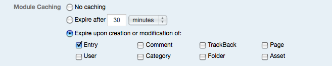 Module Caching Expiration Options