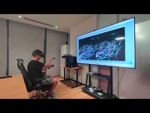 Neuron reconstruction using CAR-VR