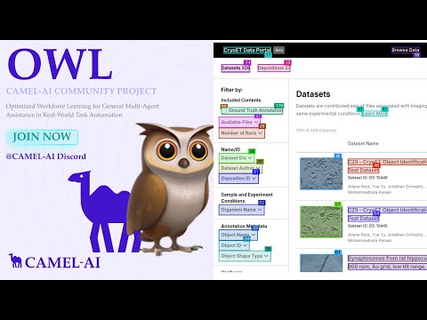 CryoET Tomogram Dataset Search Walkthrough with CamelAI's OWL Framework.